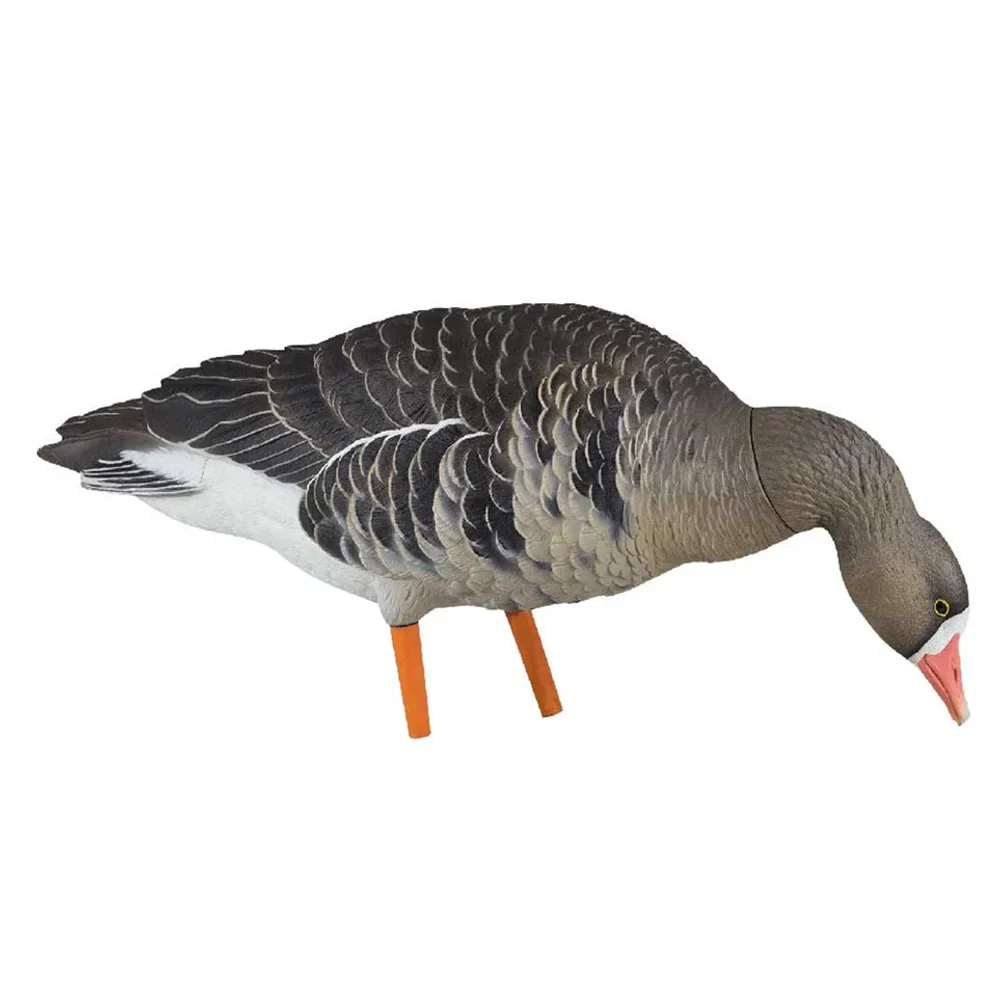 Avian-X AXF Specklebelly Fusion Goose Decoys (6 Pack) - Image 3