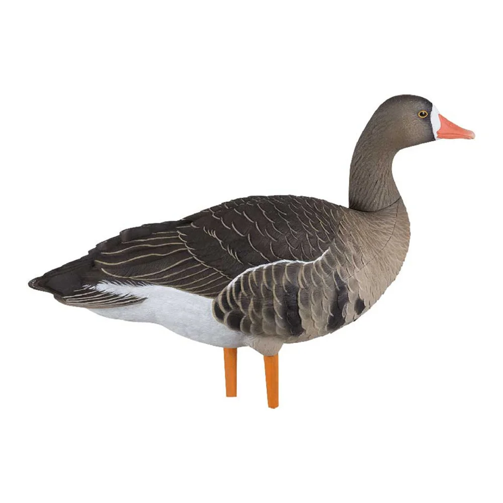 Avian-X AXF Specklebelly Fusion Goose Decoys (6 Pack) - Image 4