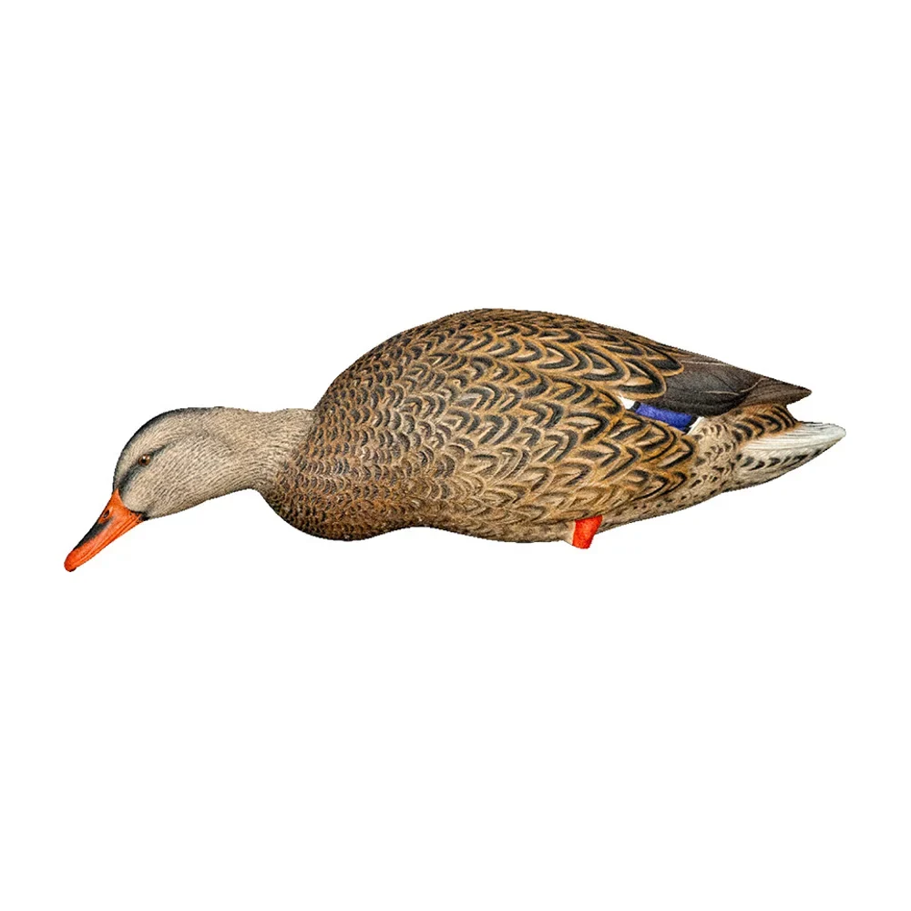 Avian-X AXP Full Body Mallards Fusion Pack / 6 Decoys / Includes Slot Bag & Field Stakes - Image 4