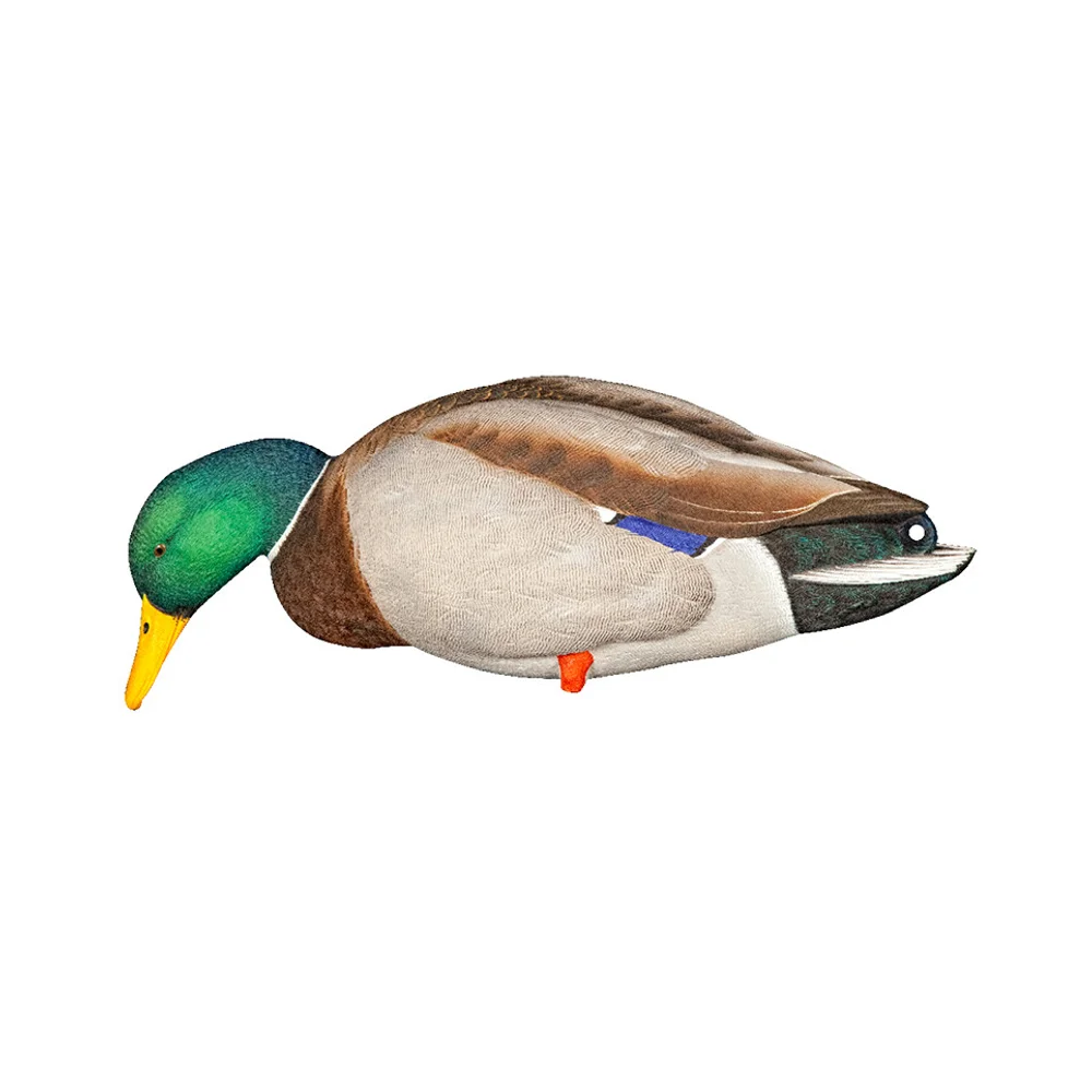 Avian-X AXP Full Body Mallards Fusion Pack / 6 Decoys / Includes Slot Bag & Field Stakes - Image 5