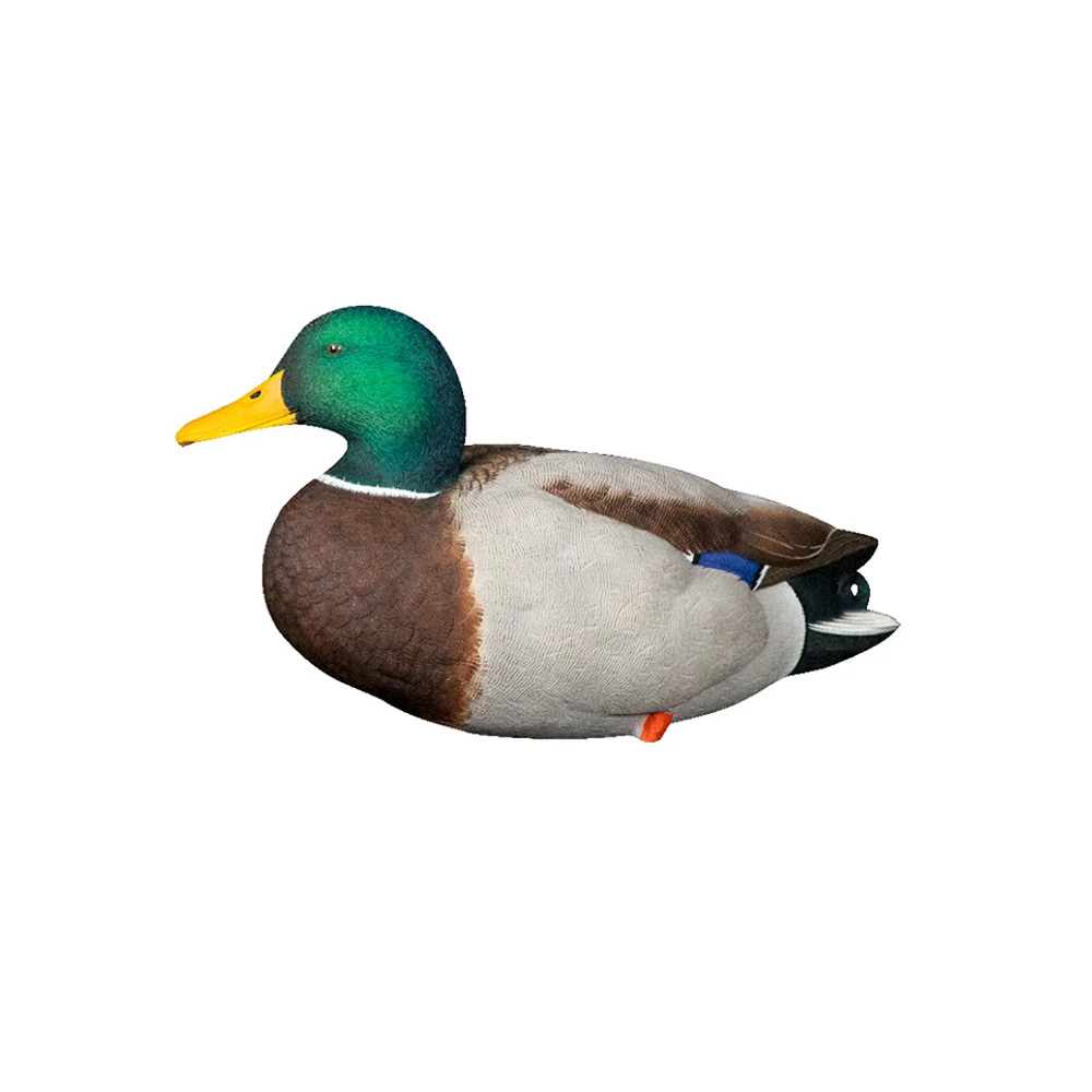 Avian-X AXP Full Body Mallards Fusion Pack / 6 Decoys / Includes Slot Bag & Field Stakes - Image 6