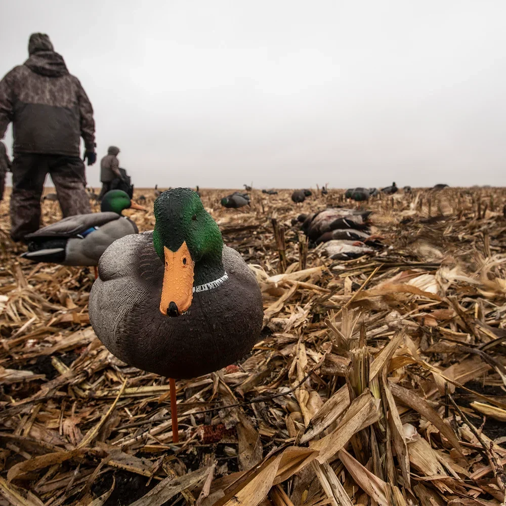 Avian-X AXP Full Body Mallards Fusion Pack / 6 Decoys / Includes Slot Bag & Field Stakes - Image 8