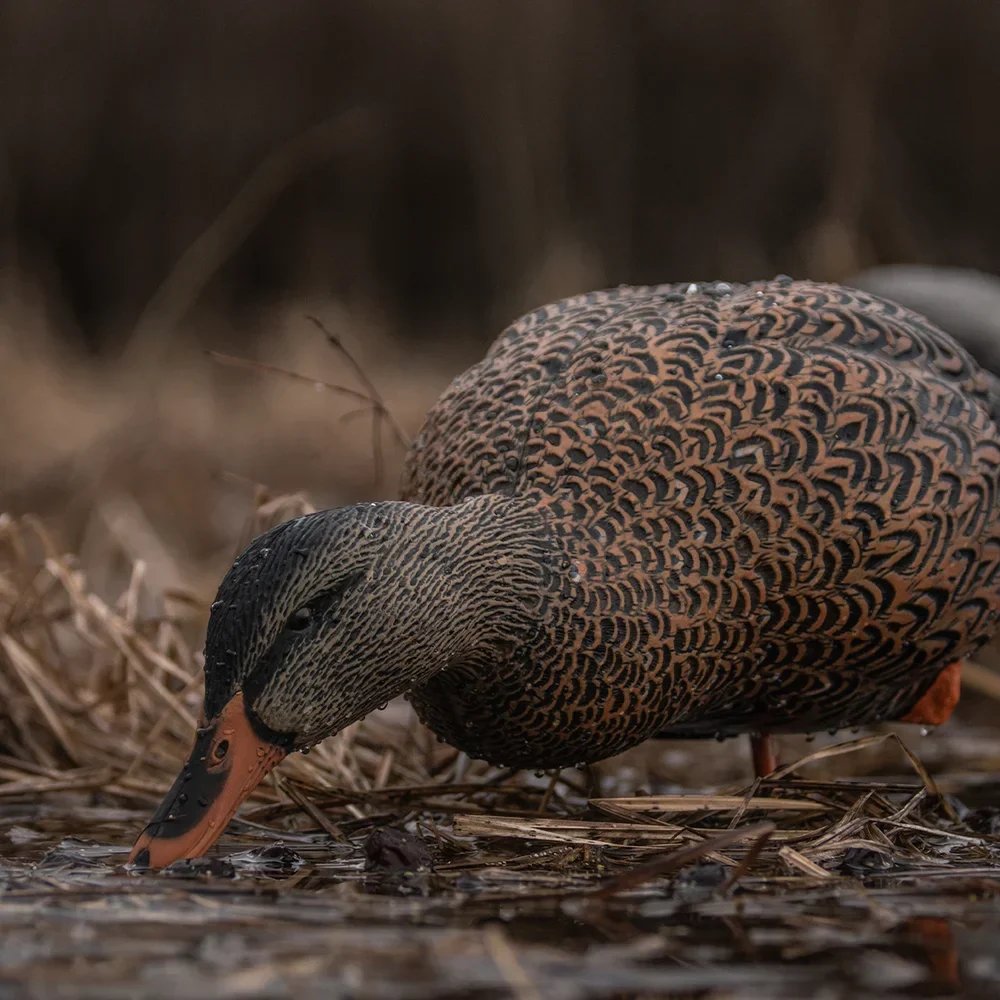 Avian-X AXP Full Body Mallards Fusion Pack / 6 Decoys / Includes Slot Bag & Field Stakes - Image 9