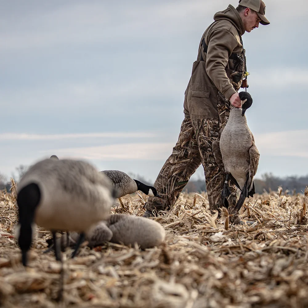 Avian-X AXP HONKERS FEEDER PACK / 6 DECOYS - Image 3