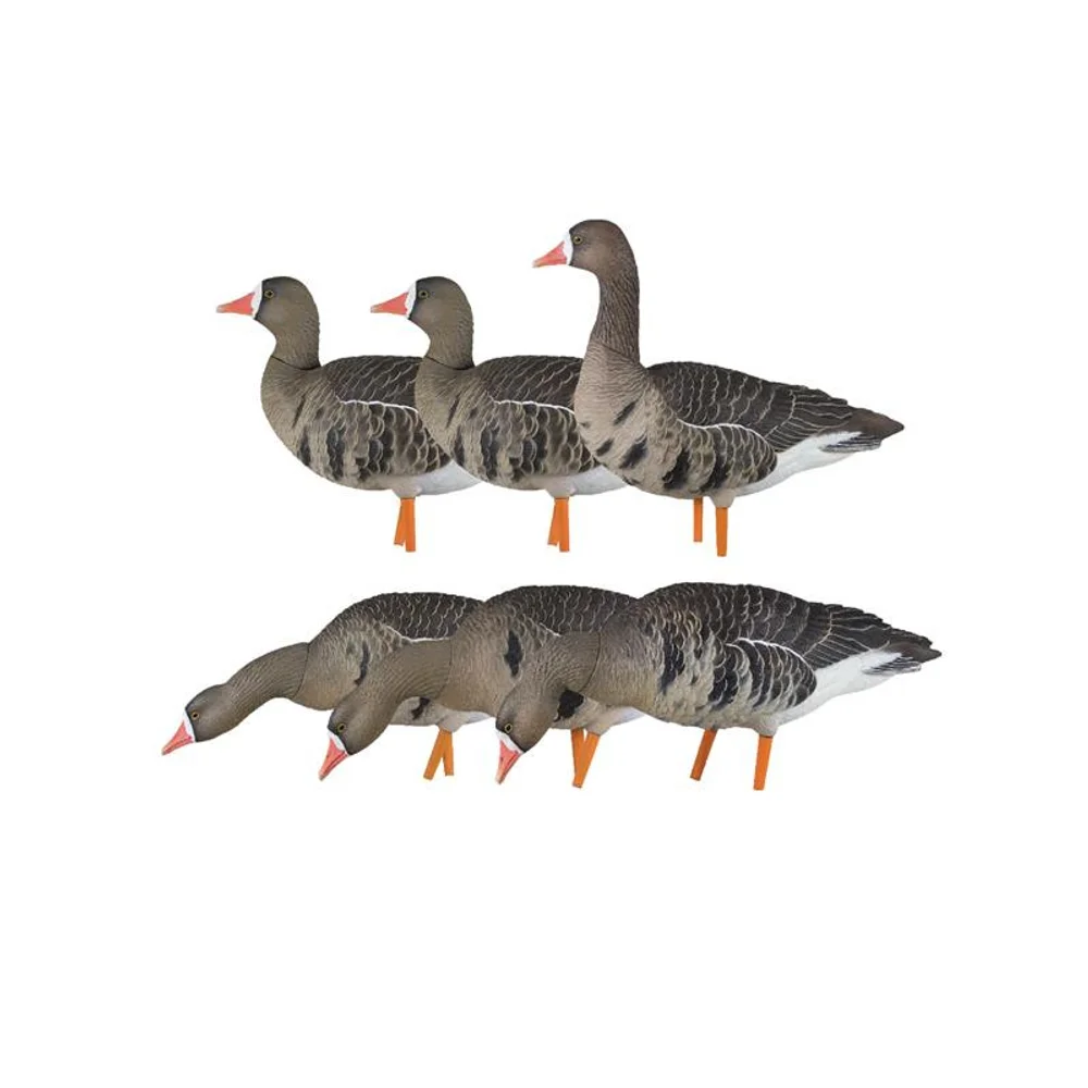 Avian-X AXP Specklebelly Fusion Goose Decoys (6 Pack)