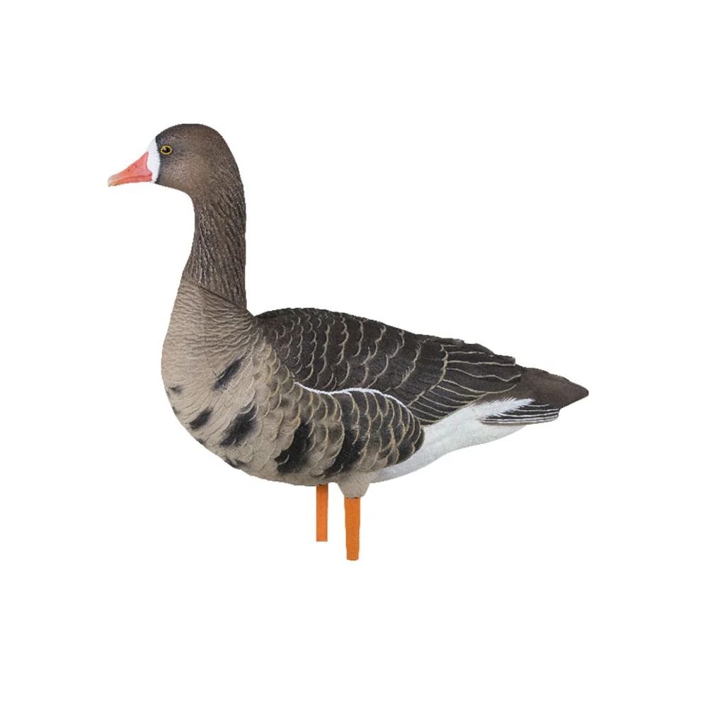 Avian-X AXP Specklebelly Fusion Goose Decoys (6 Pack) - Image 5