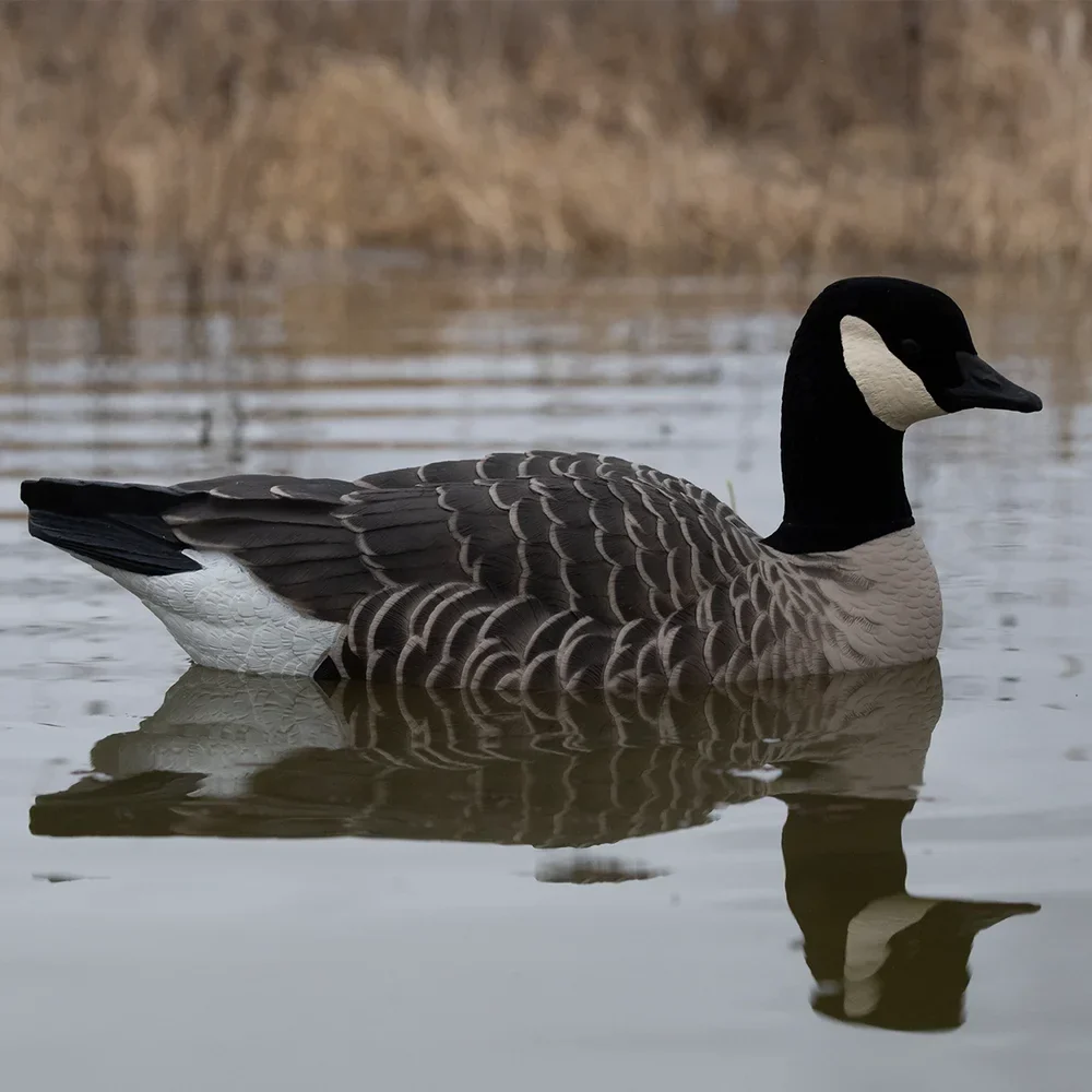 Avian-X Topflight Lesser Floating Goose Decoys (4 Pack) - Image 11
