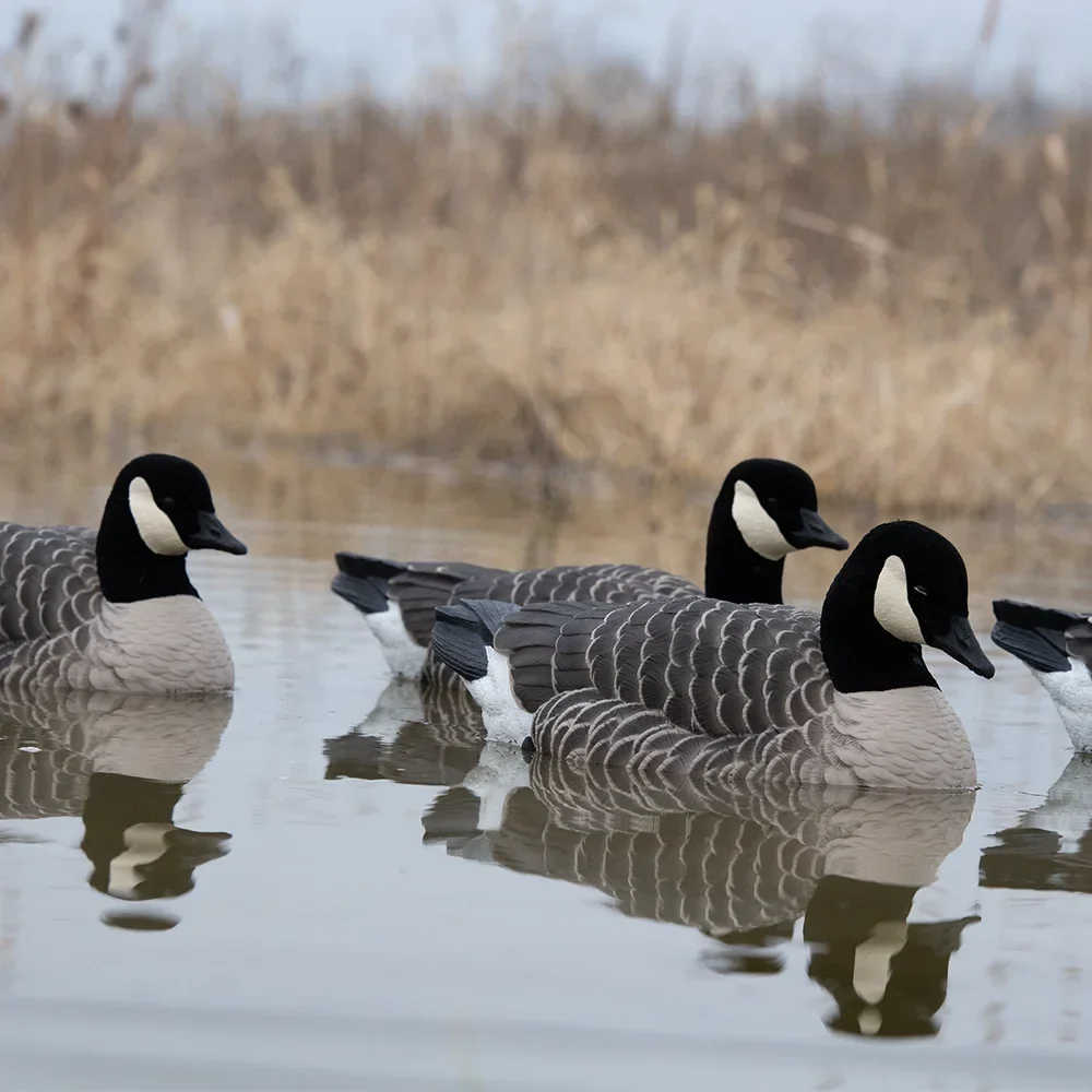 Avian-X Topflight Lesser Floating Goose Decoys (4 Pack) - Image 9