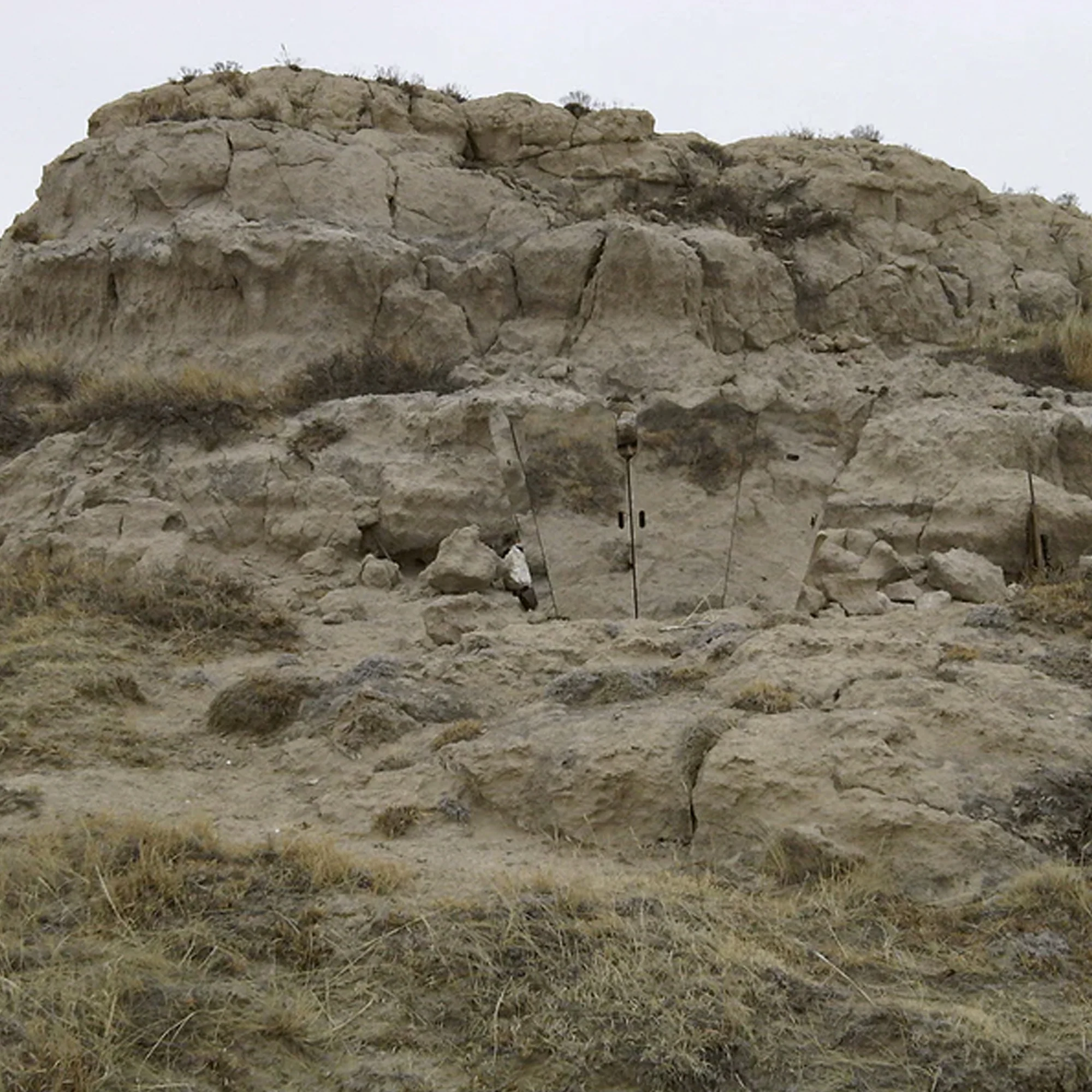 GhostBlind Predator 46" Ground Hunting Blind - Image 6