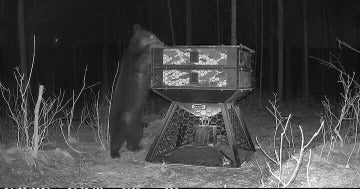 Orion Hunting - 750 lb Capacity Stand and Fill Deer Feeder - Image 10