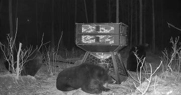 Orion Hunting - 750 lb Capacity Stand and Fill Deer Feeder - Image 9